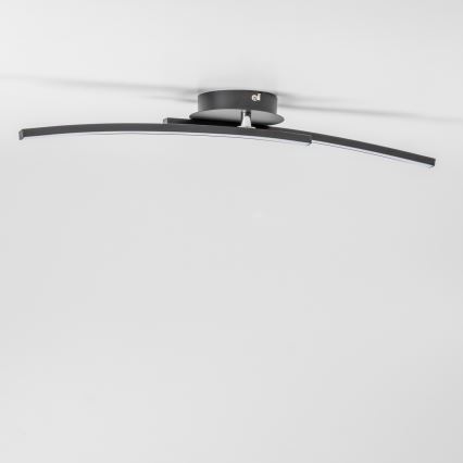 LED Ceiling Light 2xLED/6W/230V black