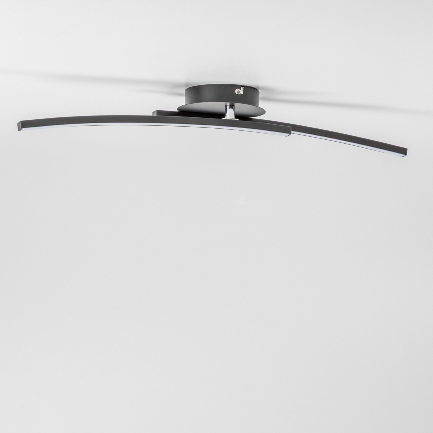 LED Ceiling Light 2xLED/6W/230V black