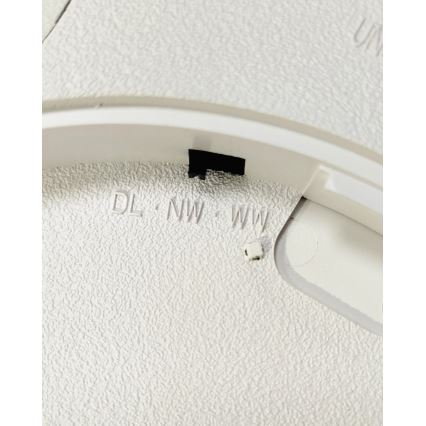 LED Ceiling Light 32W/230V 3000/4000/6500K Ø 40 cm Brown