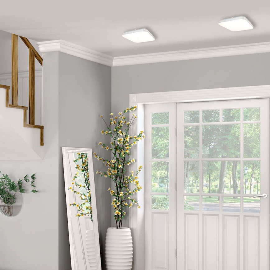 LED Ceiling light AJAX LED/10W/230V