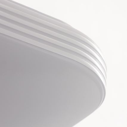 LED Ceiling light AJAX LED/17W/230V