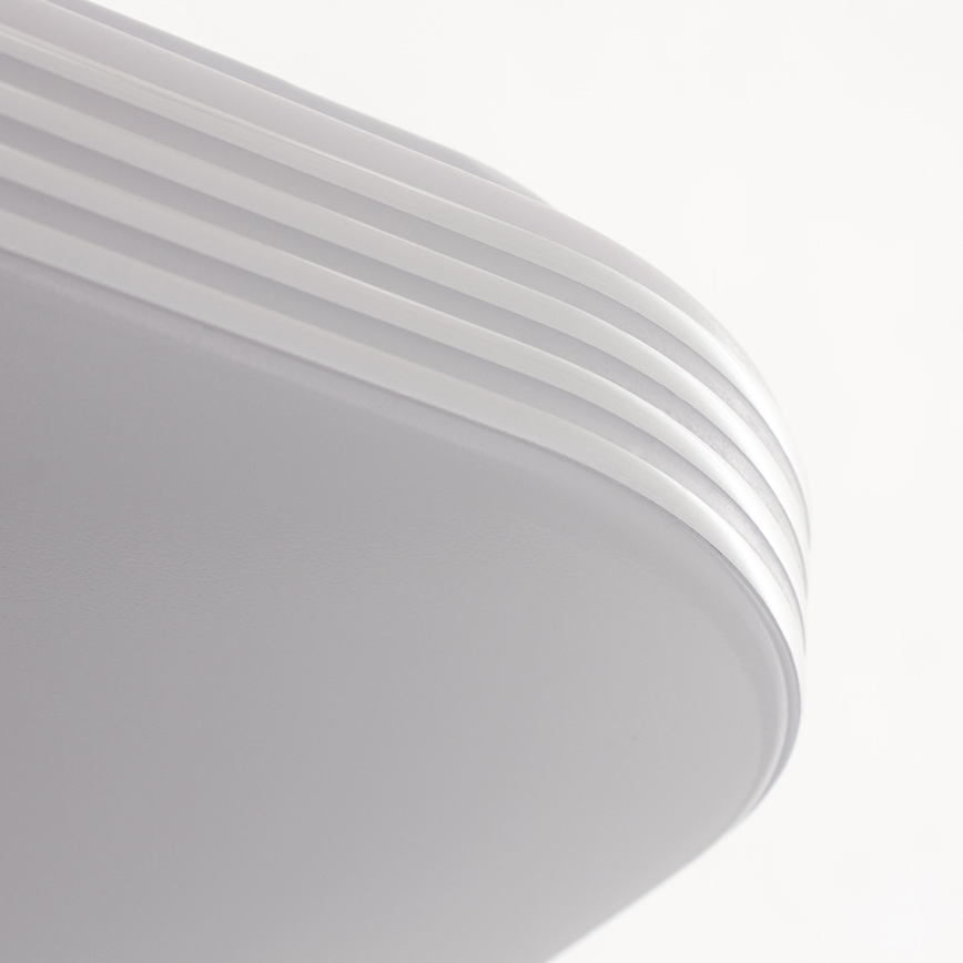 LED Ceiling light AJAX LED/17W/230V