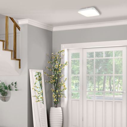 LED Bathroom ceiling light AJAX LED/27W/230V IP44