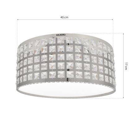 LED Ceiling light ALEX LED/18W/230V
