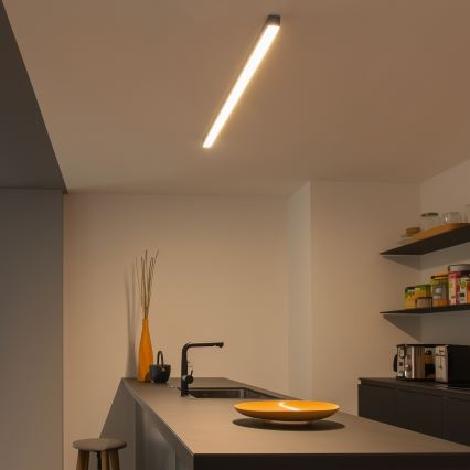 LED Ceiling Light ALLDAY BASIC LED/20/30/40W/230V 2700/4000/6000K 120 cm black