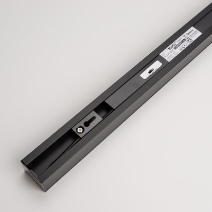 LED Ceiling Light ALLDAY BASIC LED/20/30/40W/230V 2700/4000/6000K 120 cm black