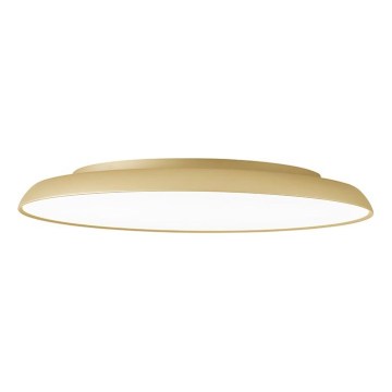 LED Ceiling Light ART LED/40W/230V, Gold