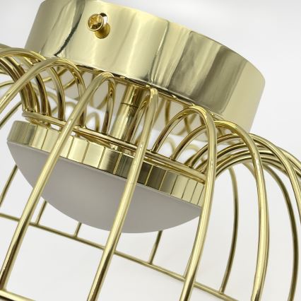 LED Ceiling Light BETSY LED/12W/230V Ø 25 cm Gold