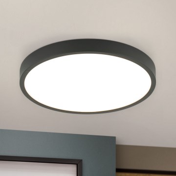 LED Ceiling light BULLY LED/24W/230V d. 24 cm black