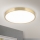 LED Ceiling light BULLY LED/28W/230V d. 28 cm gold
