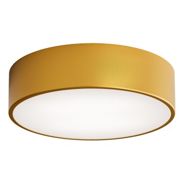 LED Ceiling light CLEO LED/24W/230V 3000K d. 30 cm gold