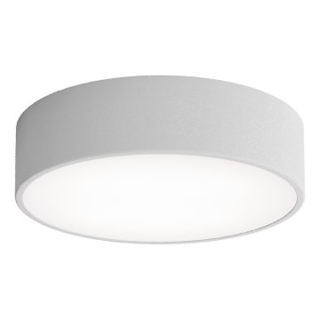 LED Ceiling light CLEO LED/24W/230V 3000K d. 30 cm grey