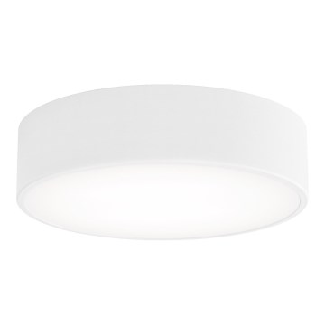 LED Ceiling light CLEO LED/24W/230V 4000K d. 30 cm white