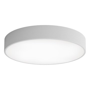 LED Ceiling light CLEO LED/69W/230V 4000K d. 50 cm grey
