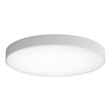 LED Ceiling light CLEO LED/96W/230V 3000K d. 80 cm grey