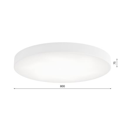LED Ceiling light CLEO LED/96W/230V 4000K d. 80 cm white