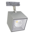 LED ceiling light DAU SPOT MONOFASE LED/10W/230V