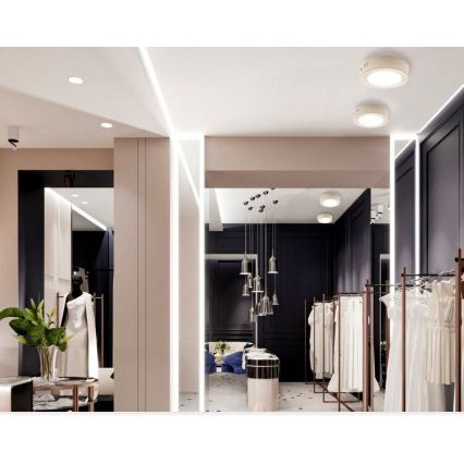LED Ceiling Light DIEGO LED/12W/230V 4000K IP40 Ø 16.5 cm white