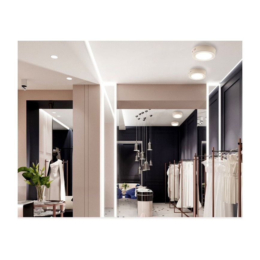 LED Ceiling Light DIEGO LED/12W/230V 4000K IP40 Ø 16.5 cm white