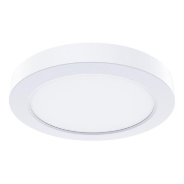 LED Ceiling Light EVORA LED/6W/230V 3000/4000/6000K Ø 14 cm White