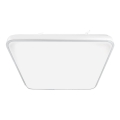 LED Ceiling light FABIO LED/23W/230V white