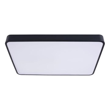 LED Ceiling light FELIZ LED/40W/230V 4000K 40x40 cm black