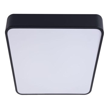 LED Ceiling light FELIZ LED/50W/230V 4000K 40x60 cm black