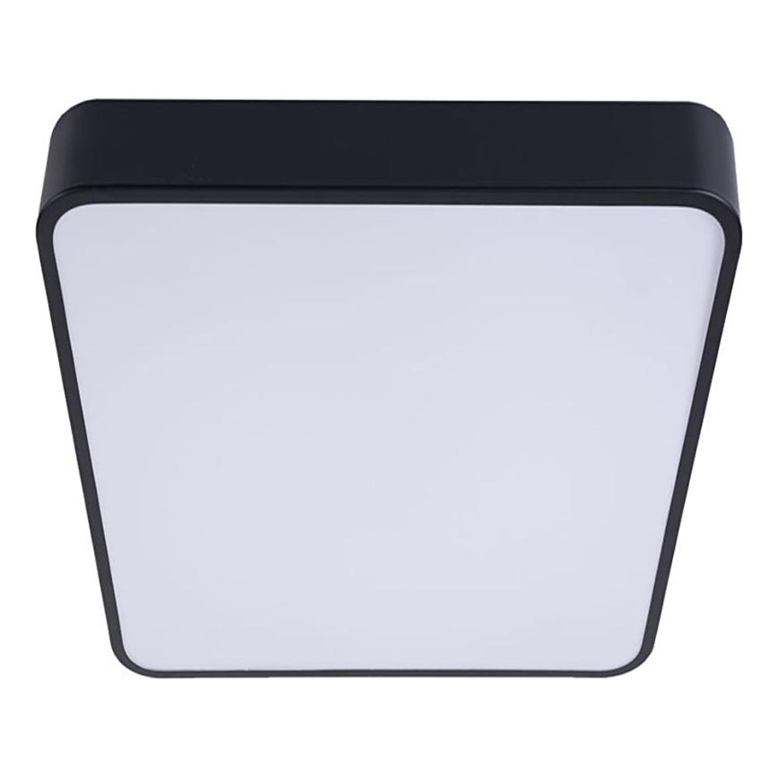 LED Ceiling light FELIZ LED/50W/230V 4000K 40x60 cm black