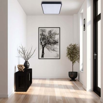 LED Ceiling light FELIZ LED/50W/230V 4000K 40x60 cm black