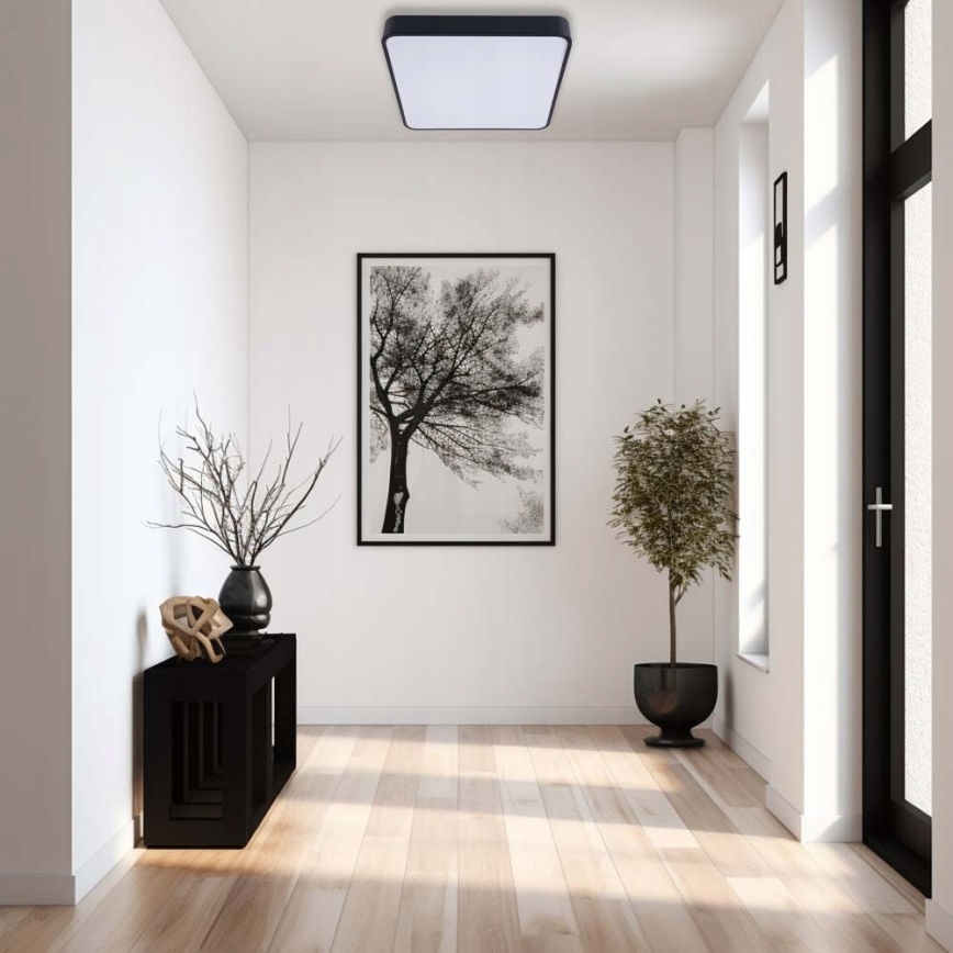 LED Ceiling light FELIZ LED/50W/230V 4000K 40x60 cm black