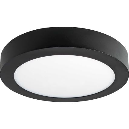 LED Ceiling light FENIX LED/12W/230V 2800K d. 17 cm