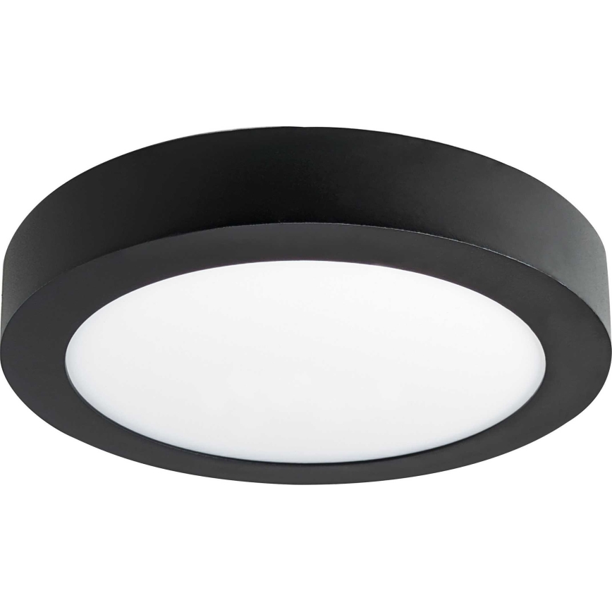 LED Ceiling light FENIX LED/12W/230V 2800K d. 17 cm