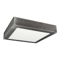 LED Ceiling light FENIX LED/12W/230V 3800K 17 cm