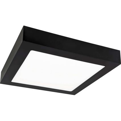 LED Ceiling light FENIX LED/12W/230V 3800K 17 cm