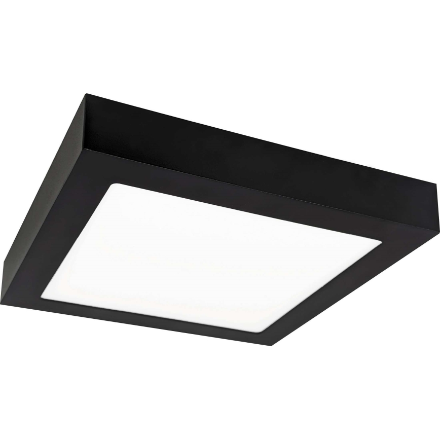 LED Ceiling light FENIX LED/12W/230V 3800K 17 cm