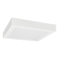 LED Ceiling light FENIX LED/12W/230V 3800K 17 cm snow white