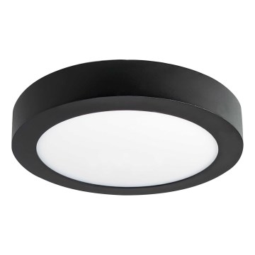 LED Ceiling light FENIX LED/12W/230V 3800K d. 17 cm