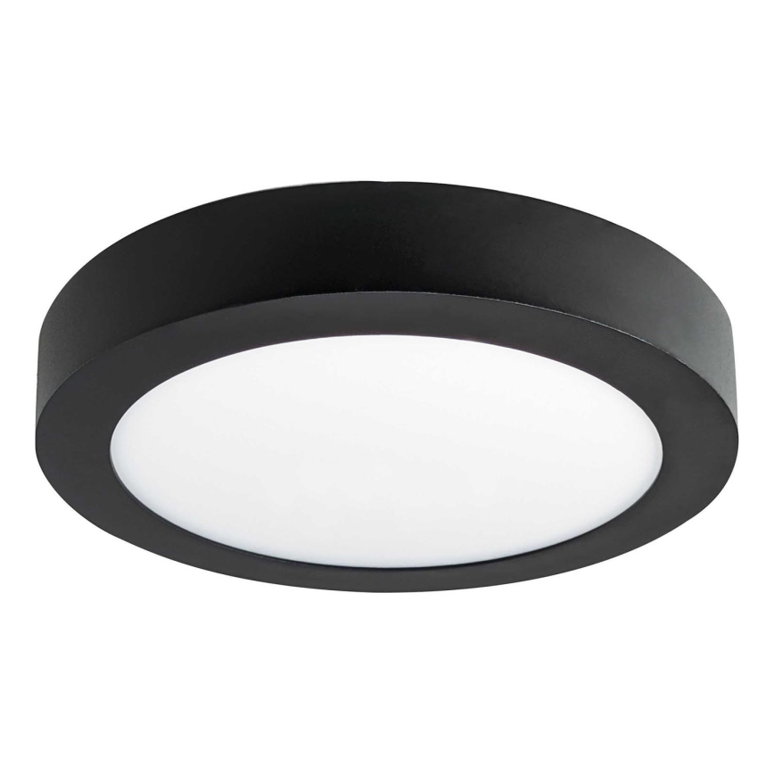 LED Ceiling light FENIX LED/12W/230V 3800K d. 17 cm