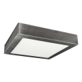 LED Ceiling light FENIX LED/24W/230V 2800K 29,8 cm