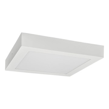 LED Ceiling light FENIX LED/24W/230V 3800K 29,8 cm
