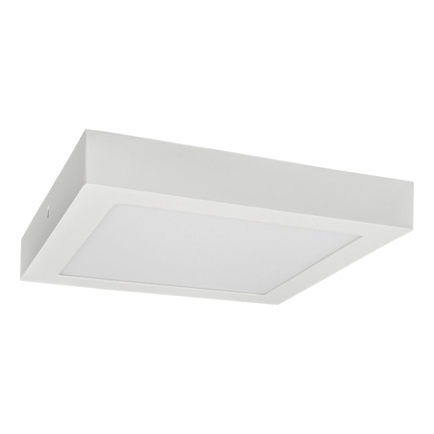 LED Ceiling light FENIX LED/24W/230V 3800K 29,8 cm