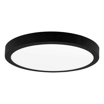 LED Ceiling light FENIX LED/24W/230V 3800K d. 29,8 cm