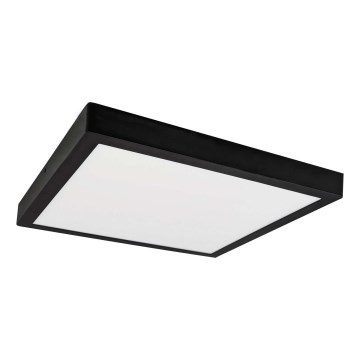 LED Ceiling light FENIX LED/32W/230V 3800K 40 cm