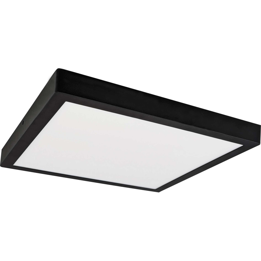 LED Ceiling light FENIX LED/32W/230V 3800K 40 cm