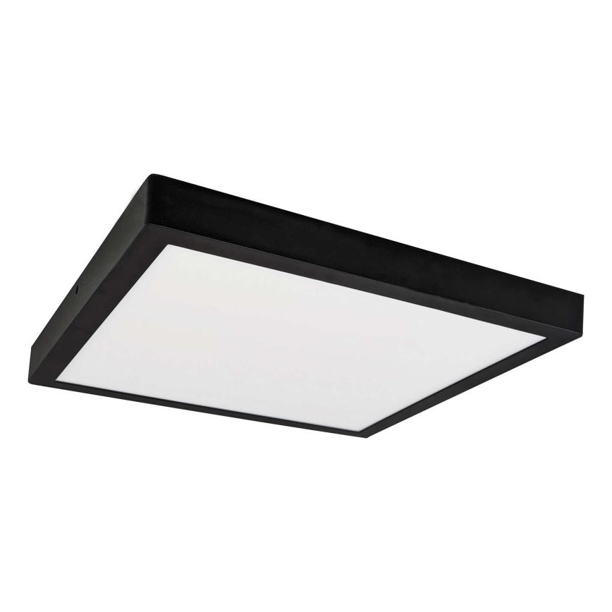 LED Ceiling light FENIX LED/32W/230V 3800K 40 cm