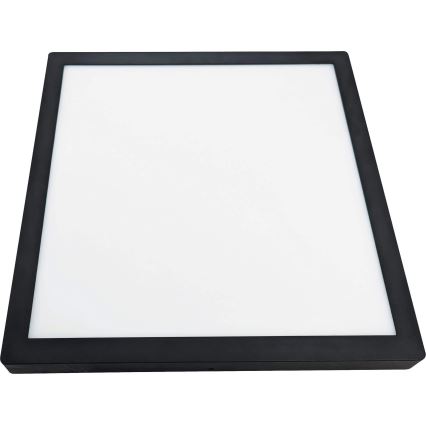 LED Ceiling light FENIX LED/32W/230V 3800K 40 cm