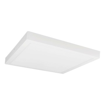 LED Ceiling light FENIX LED/32W/230V 3800K 40 cm snow white