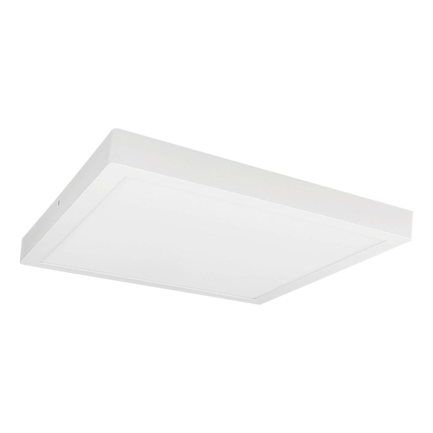 LED Ceiling light FENIX LED/32W/230V 3800K 40 cm snow white