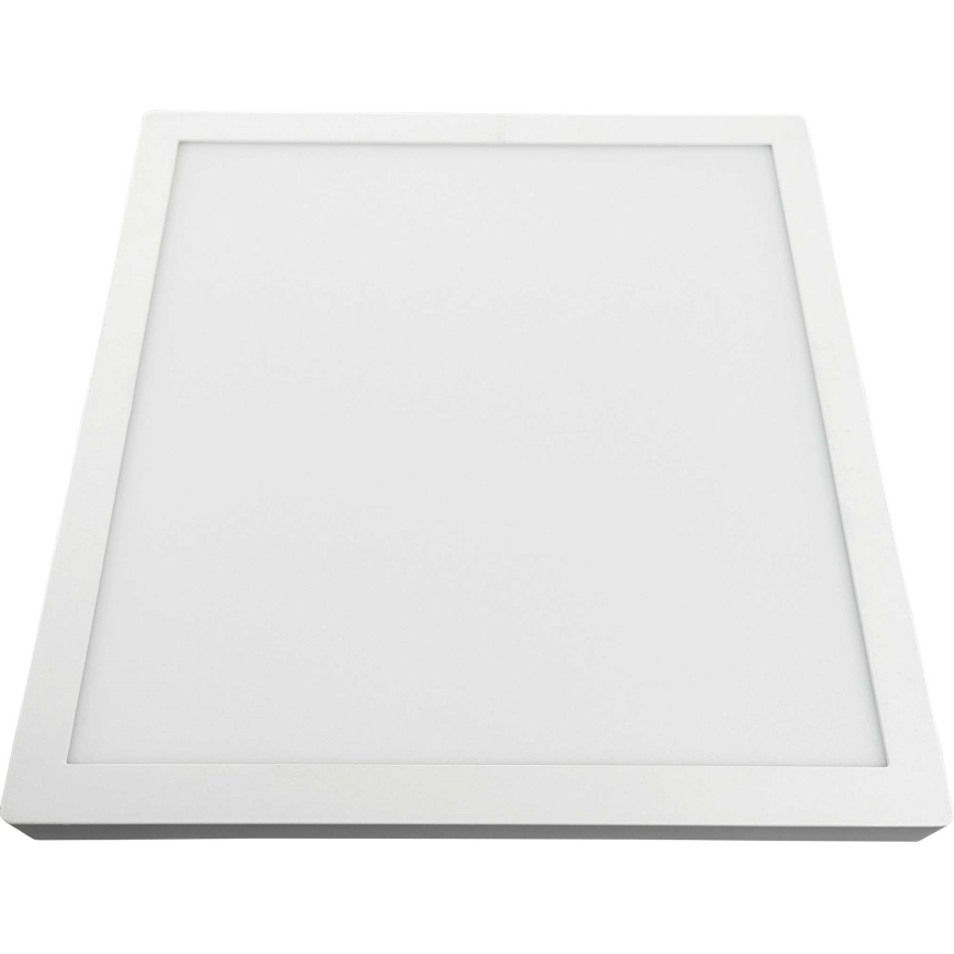 LED Ceiling light FENIX LED/32W/230V 3800K 40 cm snow white