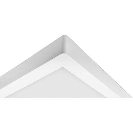 LED Ceiling light FENIX LED/32W/230V 3800K 40 cm snow white
